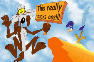 Wile E Coyote Background for Android, iPhone and iPad