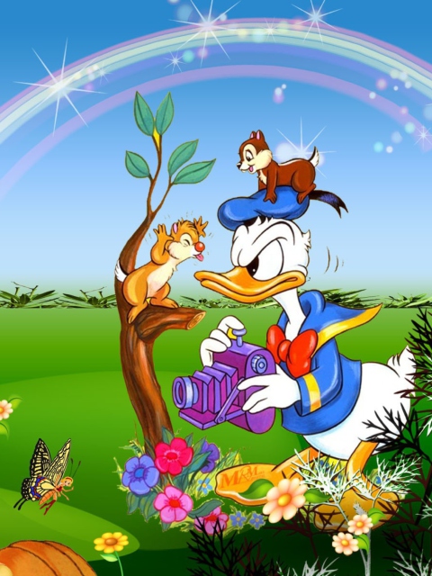 Das Donald Duck Wallpaper 480x640