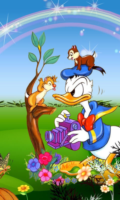 Обои Donald Duck 480x800