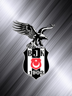 Обои Besiktas - Beşiktaş J.K. 240x320