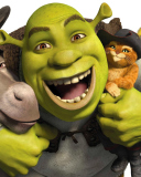 Shrek Hd screenshot #1 128x160