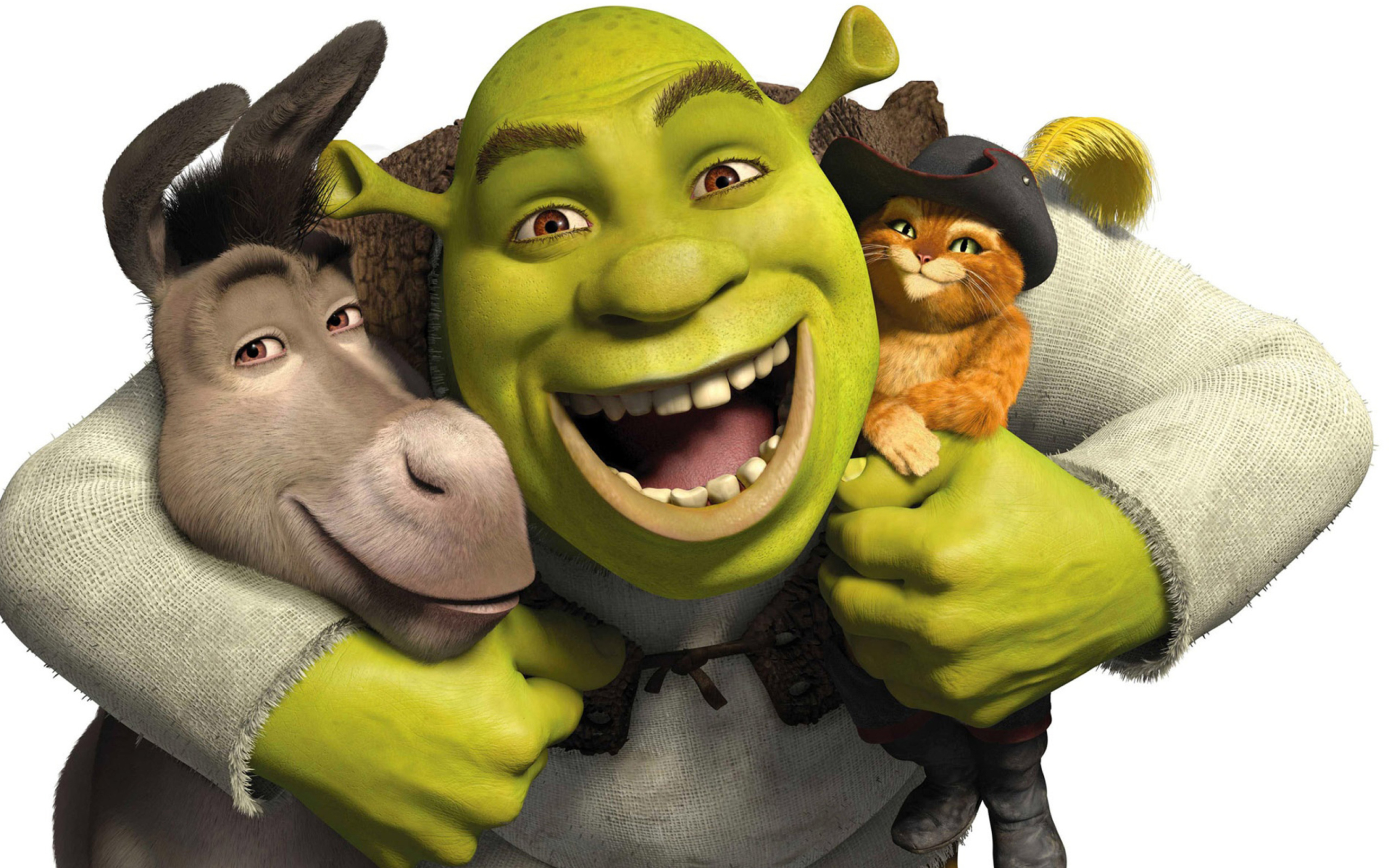 Screenshot №1 pro téma Shrek Hd 2560x1600