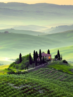 Pienza, Toscana screenshot #1 240x320