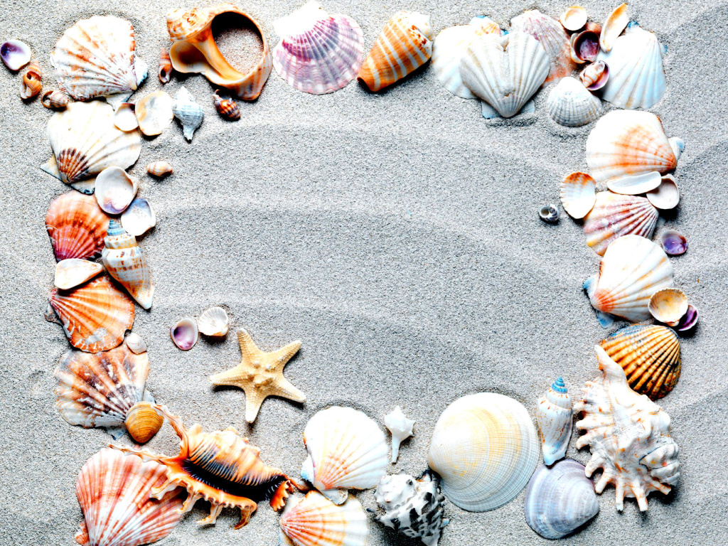 Das Australian Seashells Favors Wallpaper 1024x768