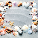 Fondo de pantalla Australian Seashells Favors 128x128