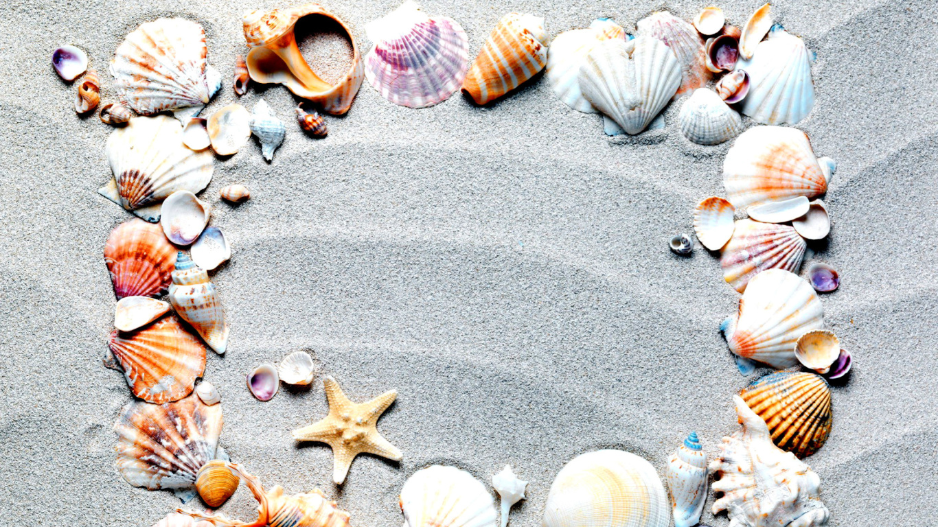 Fondo de pantalla Australian Seashells Favors 1366x768