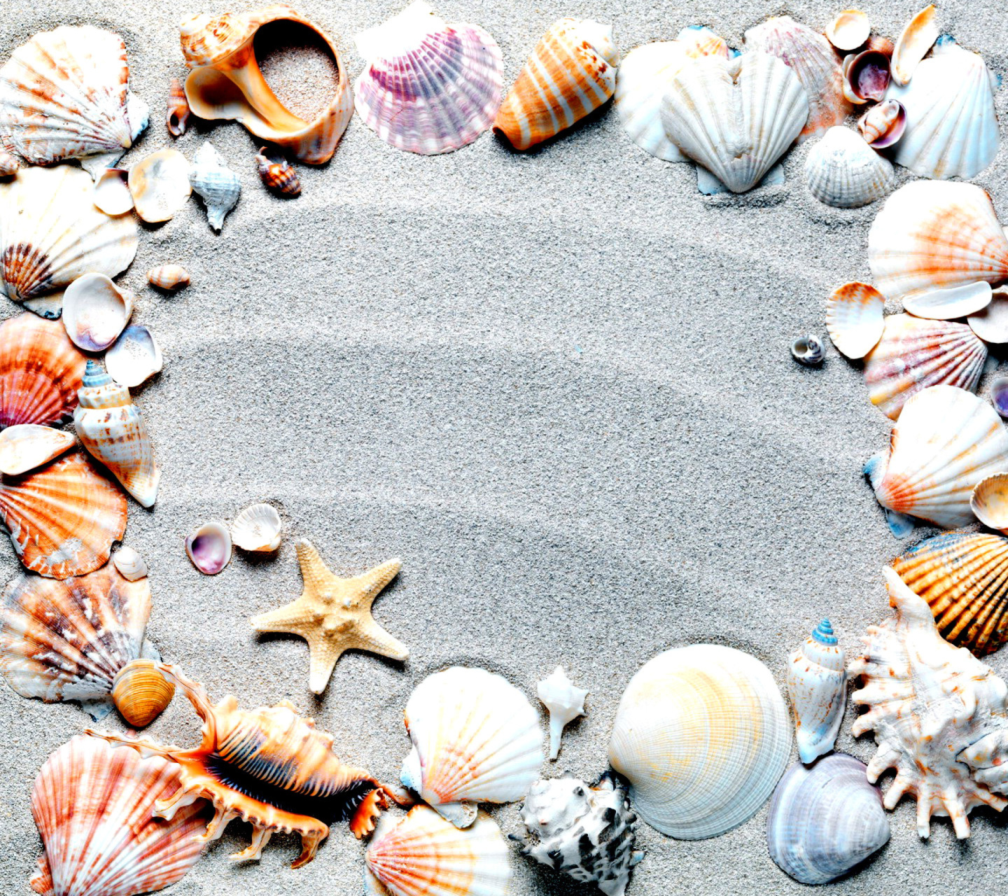 Screenshot №1 pro téma Australian Seashells Favors 1440x1280