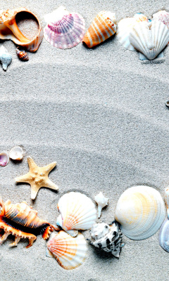 Das Australian Seashells Favors Wallpaper 240x400