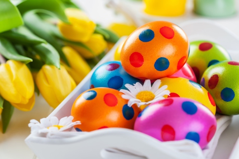 Screenshot №1 pro téma Colorful Polka Dot Easter Eggs 480x320