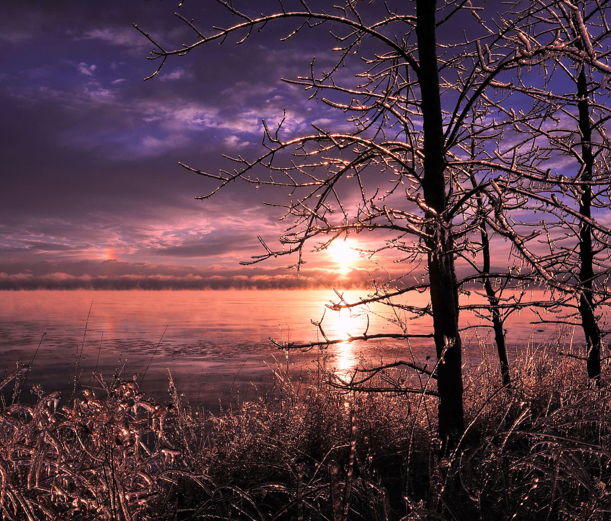 Das Frozen Trees near Lake in Canada Wallpaper 1200x1024