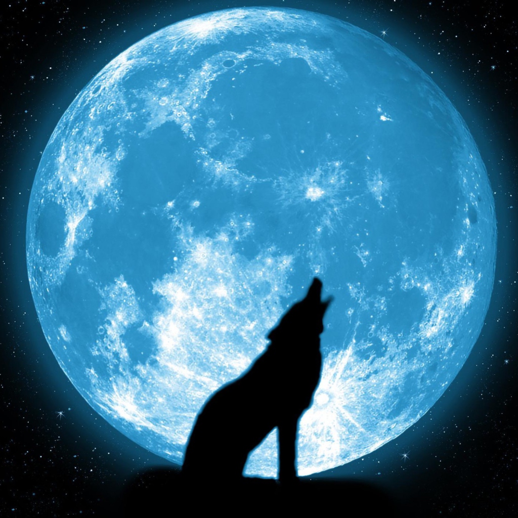 Screenshot №1 pro téma Wolf And Full Moon 1024x1024