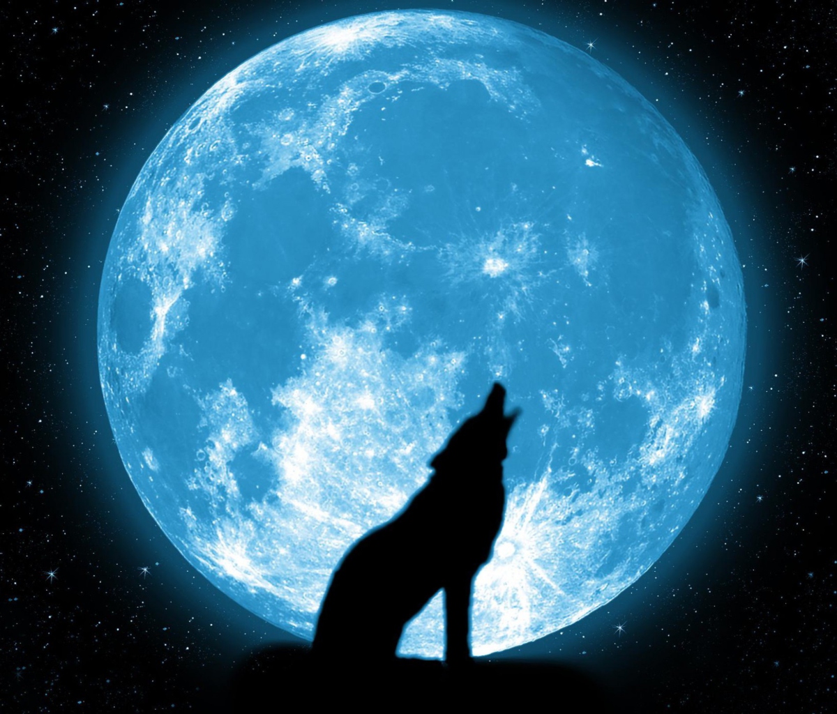 Fondo de pantalla Wolf And Full Moon 1200x1024