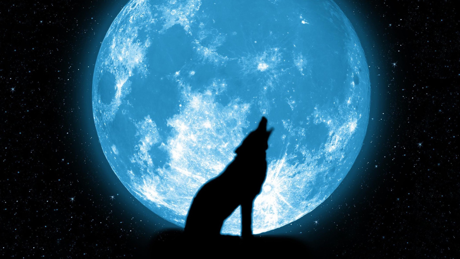 Das Wolf And Full Moon Wallpaper 1600x900