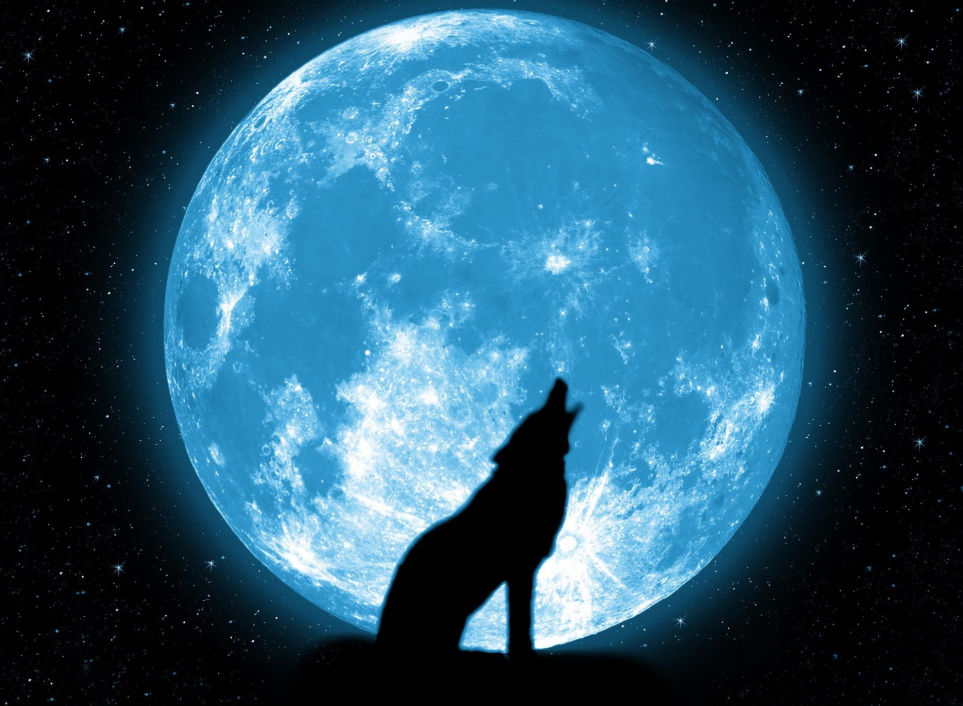 Wolf And Full Moon screenshot #1 1920x1408