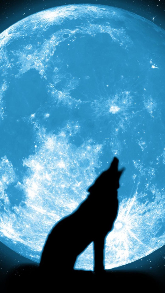 Обои Wolf And Full Moon 640x1136