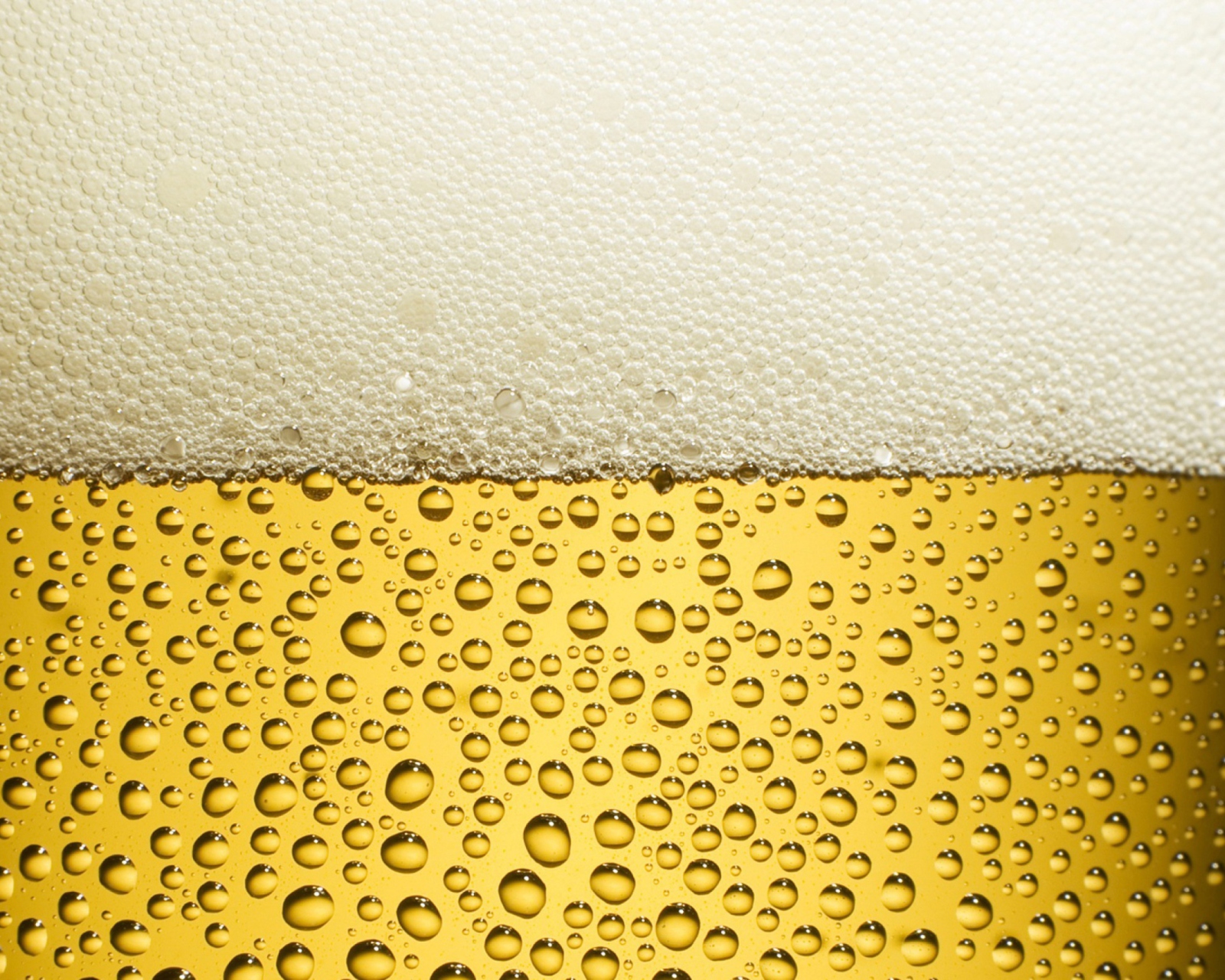 Take a Beer wallpaper 1600x1280