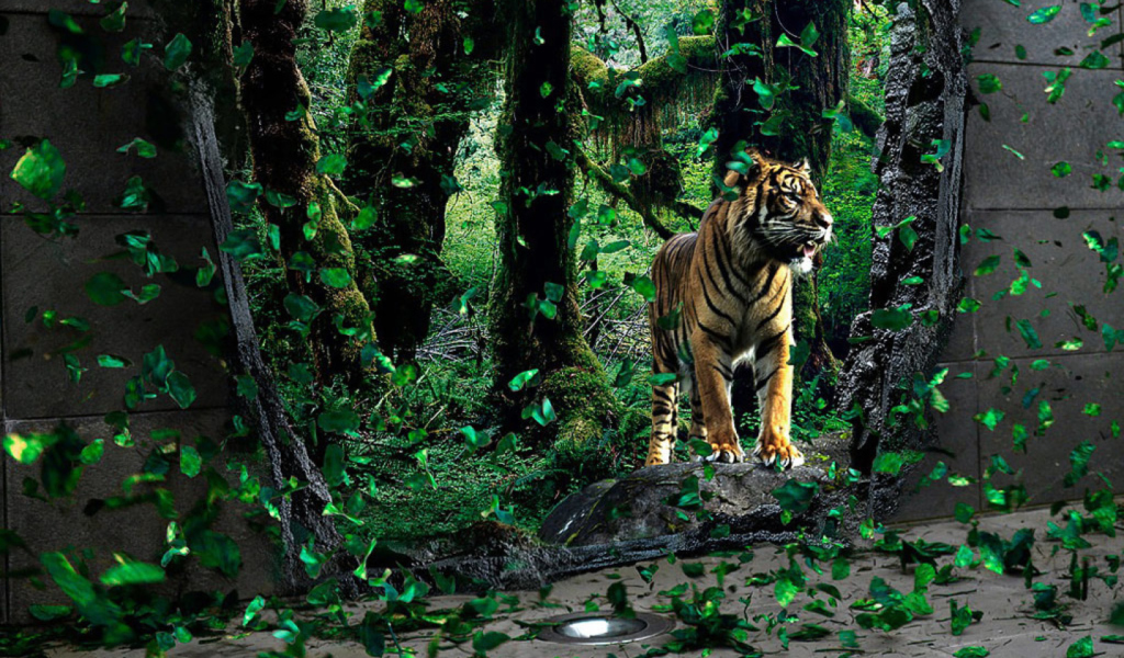 Screenshot №1 pro téma Tiger Running Free 1024x600