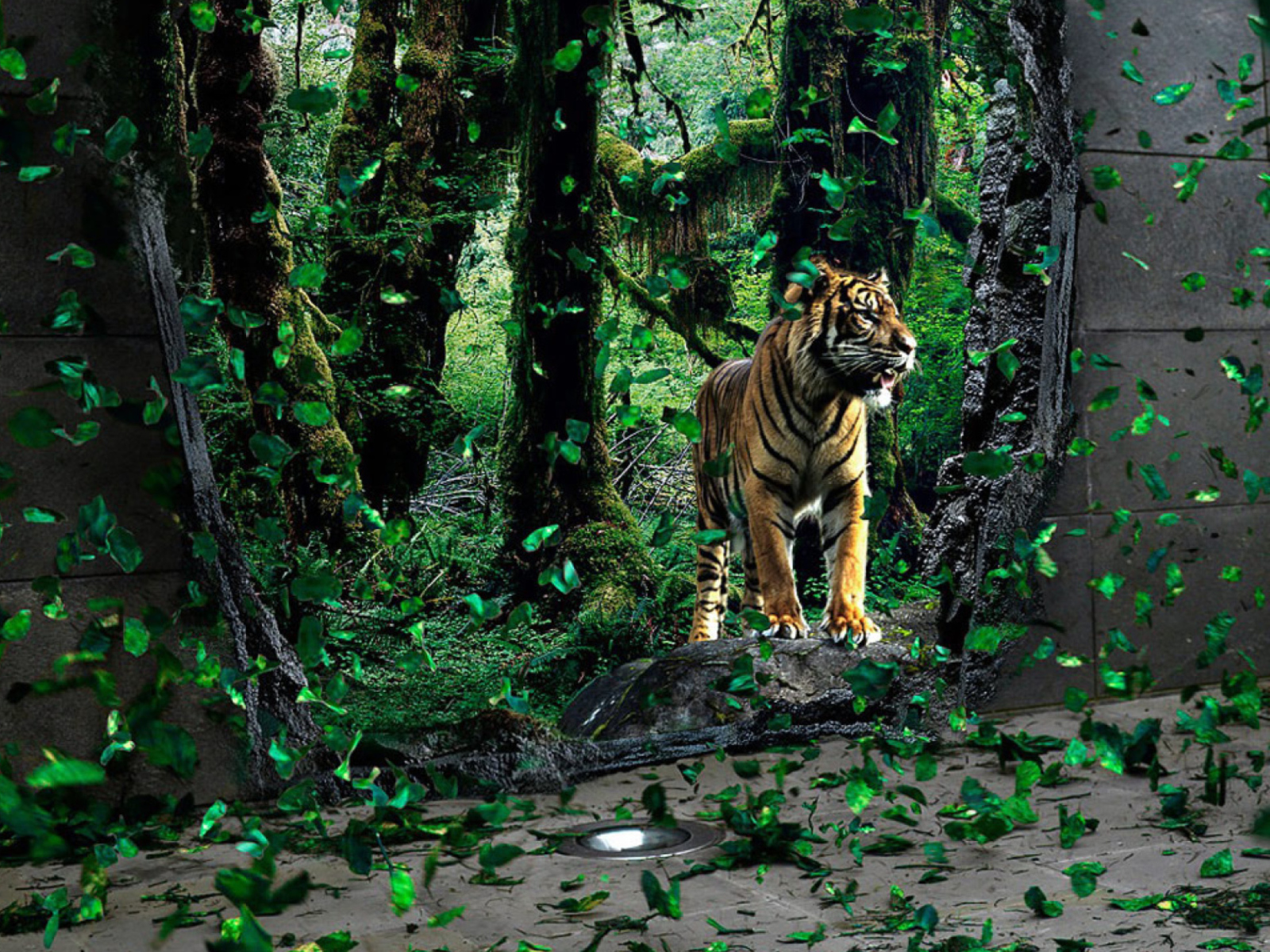 Das Tiger Running Free Wallpaper 1600x1200