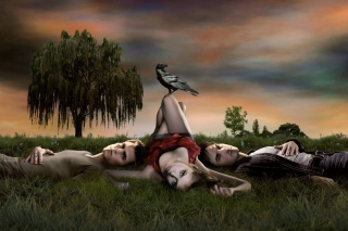 Free The Vampire Diaries Tv Series Picture for Android, iPhone and iPad