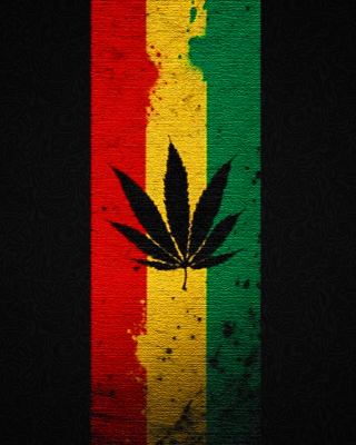 Leaf Rasta sfondi gratuiti per Nokia Asha 309