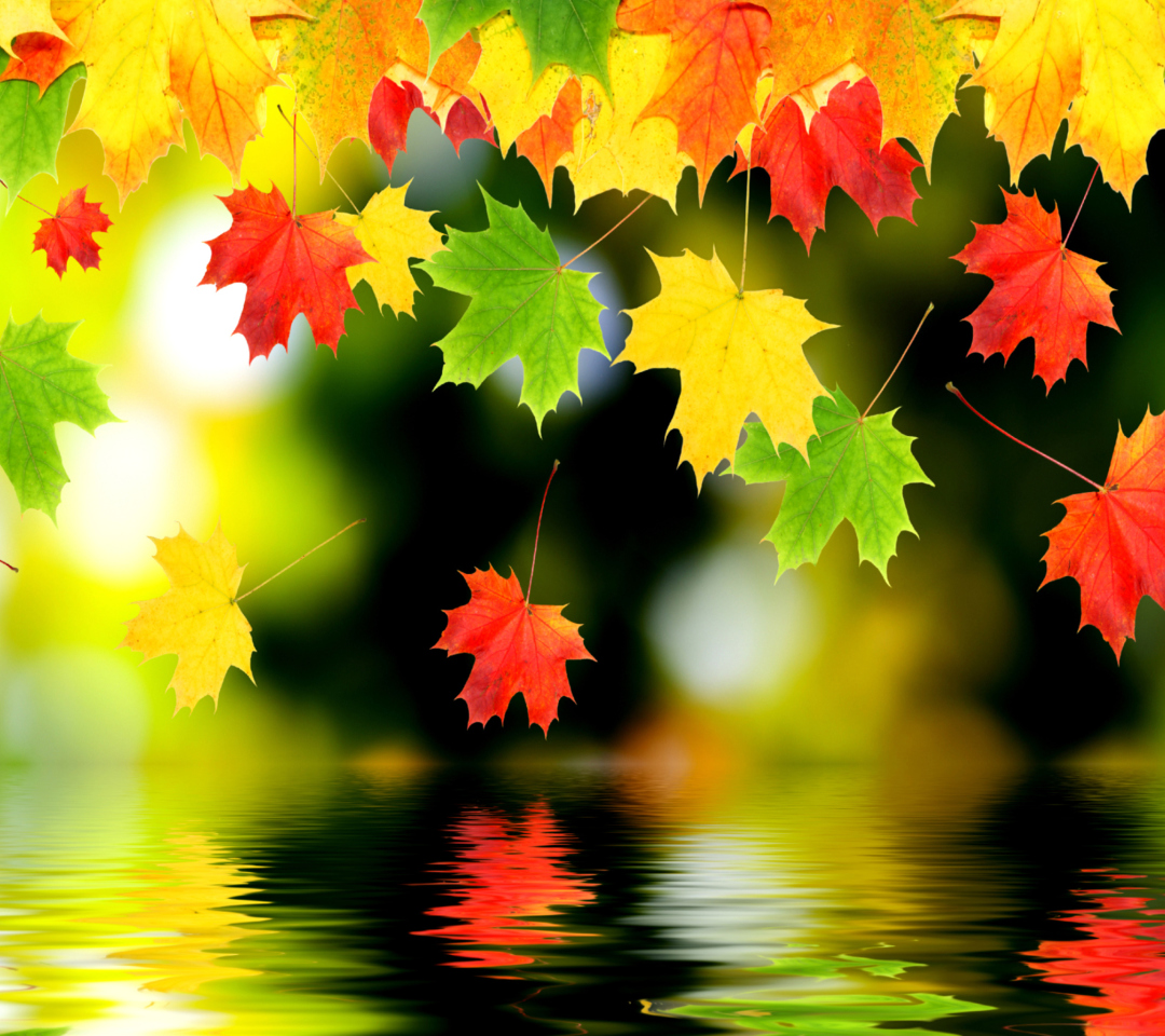 Treetops In Autumn screenshot #1 1080x960