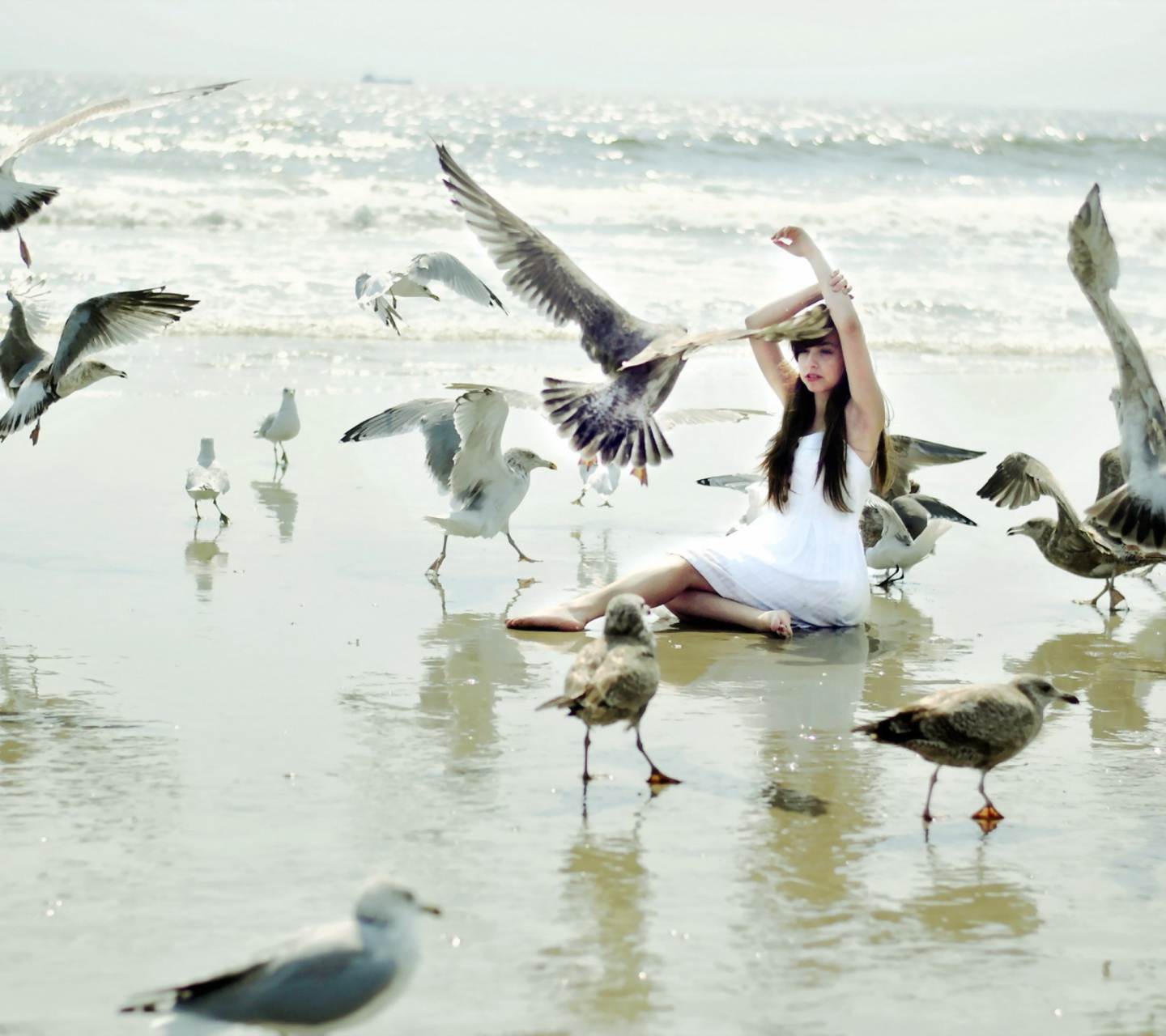 Screenshot №1 pro téma Girl And Seagulls On Beach 1440x1280
