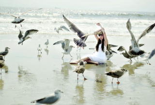 Girl And Seagulls On Beach - Obrázkek zdarma 