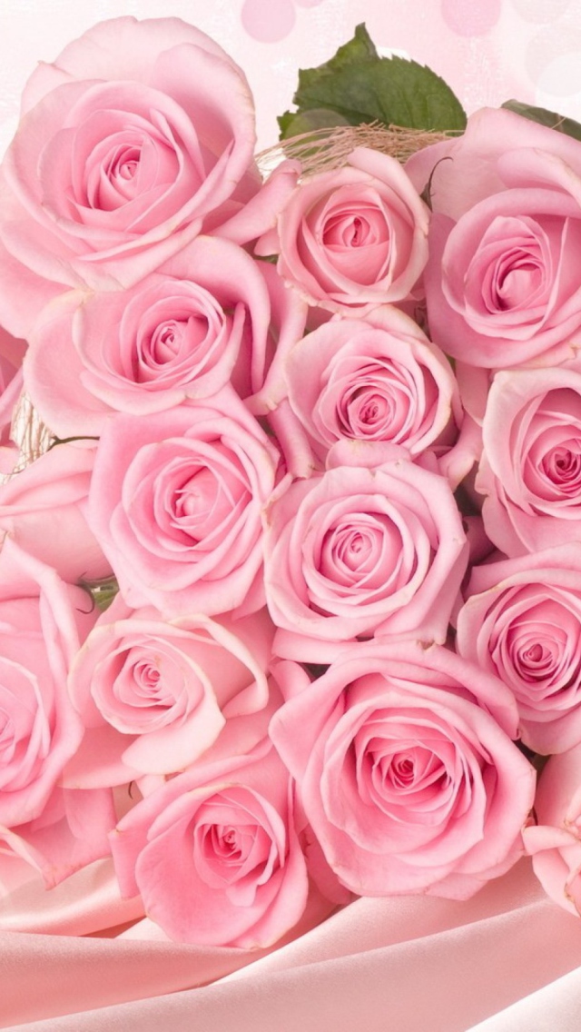 Das Pink Roses Wallpaper 640x1136