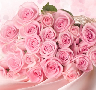Pink Roses - Obrázkek zdarma pro 208x208