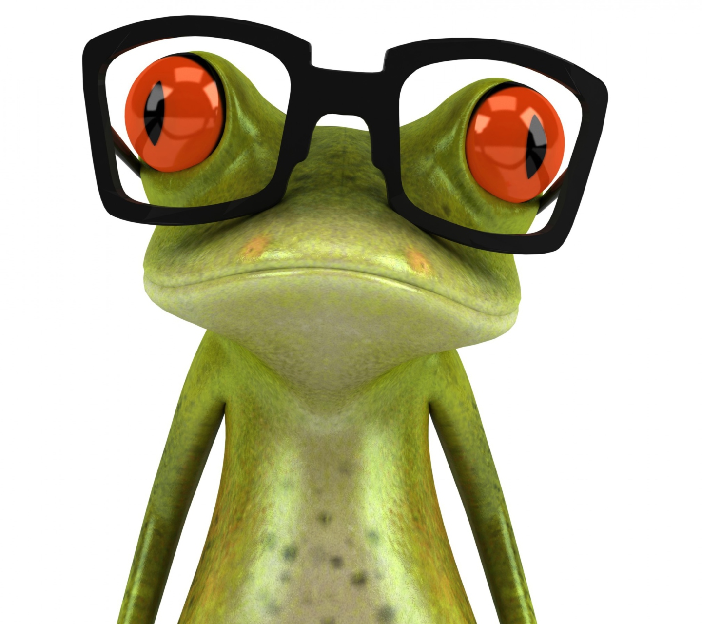 Das 3D Frog Glasses Wallpaper 1440x1280