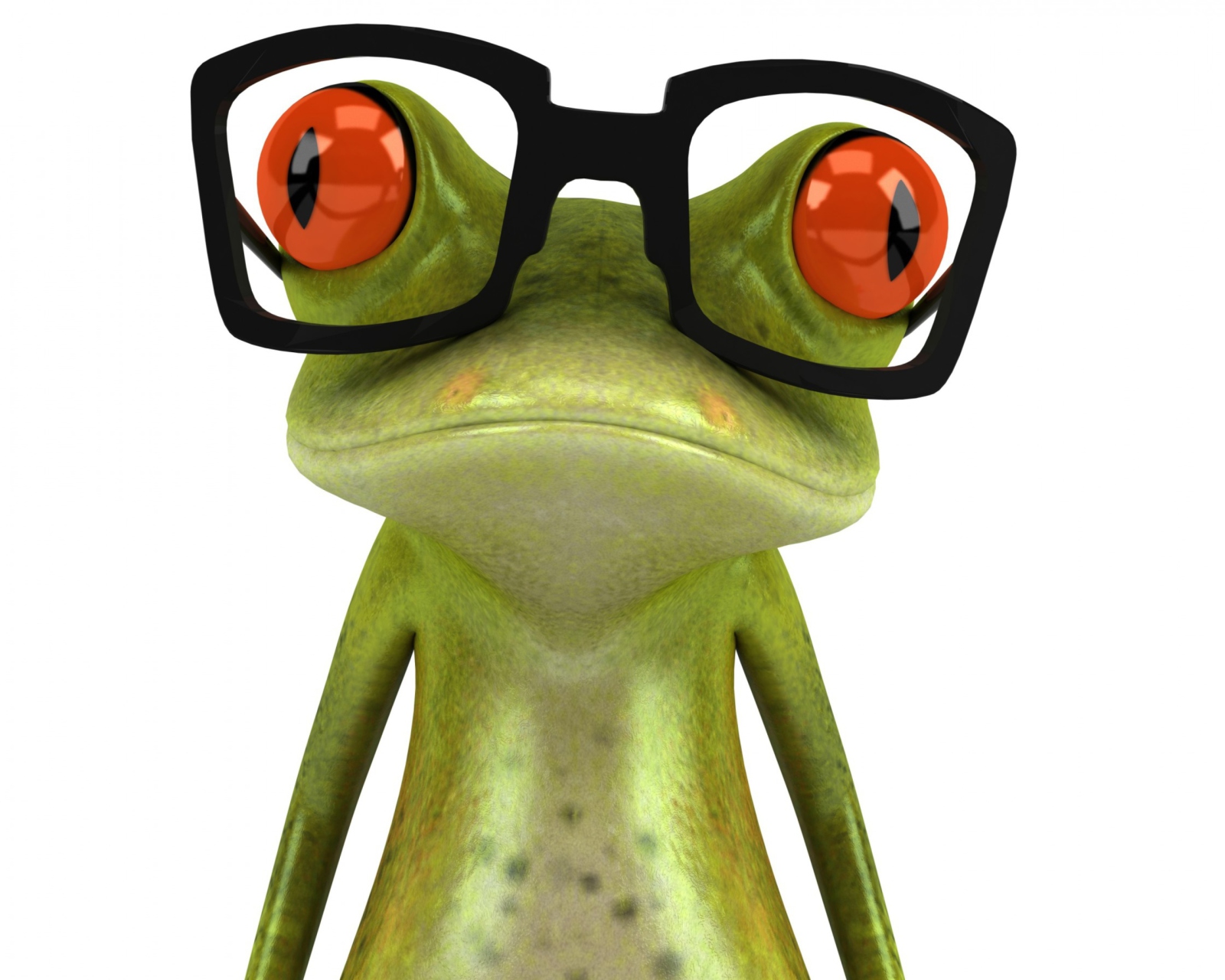 Das 3D Frog Glasses Wallpaper 1600x1280