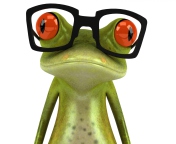 Обои 3D Frog Glasses 176x144