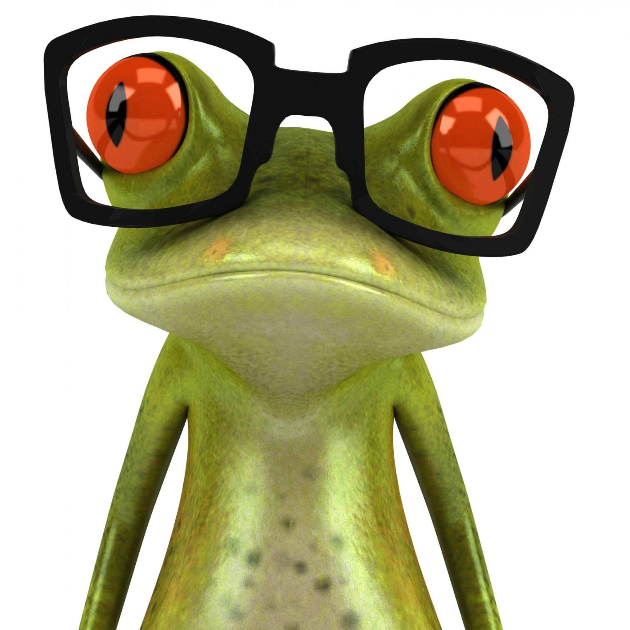 Das 3D Frog Glasses Wallpaper 2048x2048