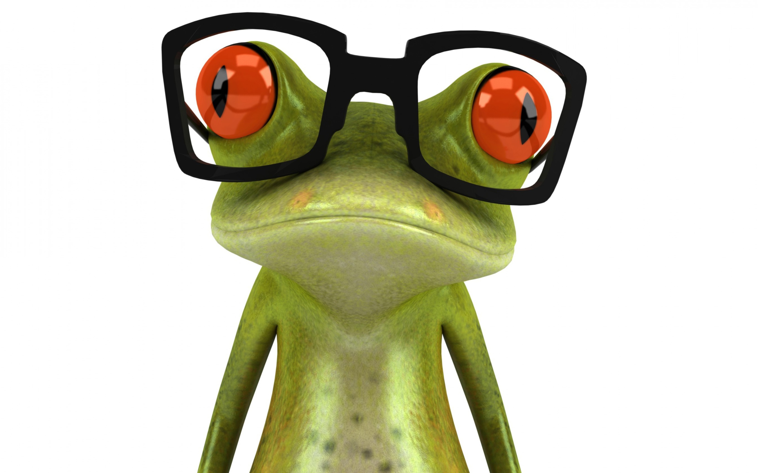 Das 3D Frog Glasses Wallpaper 2560x1600