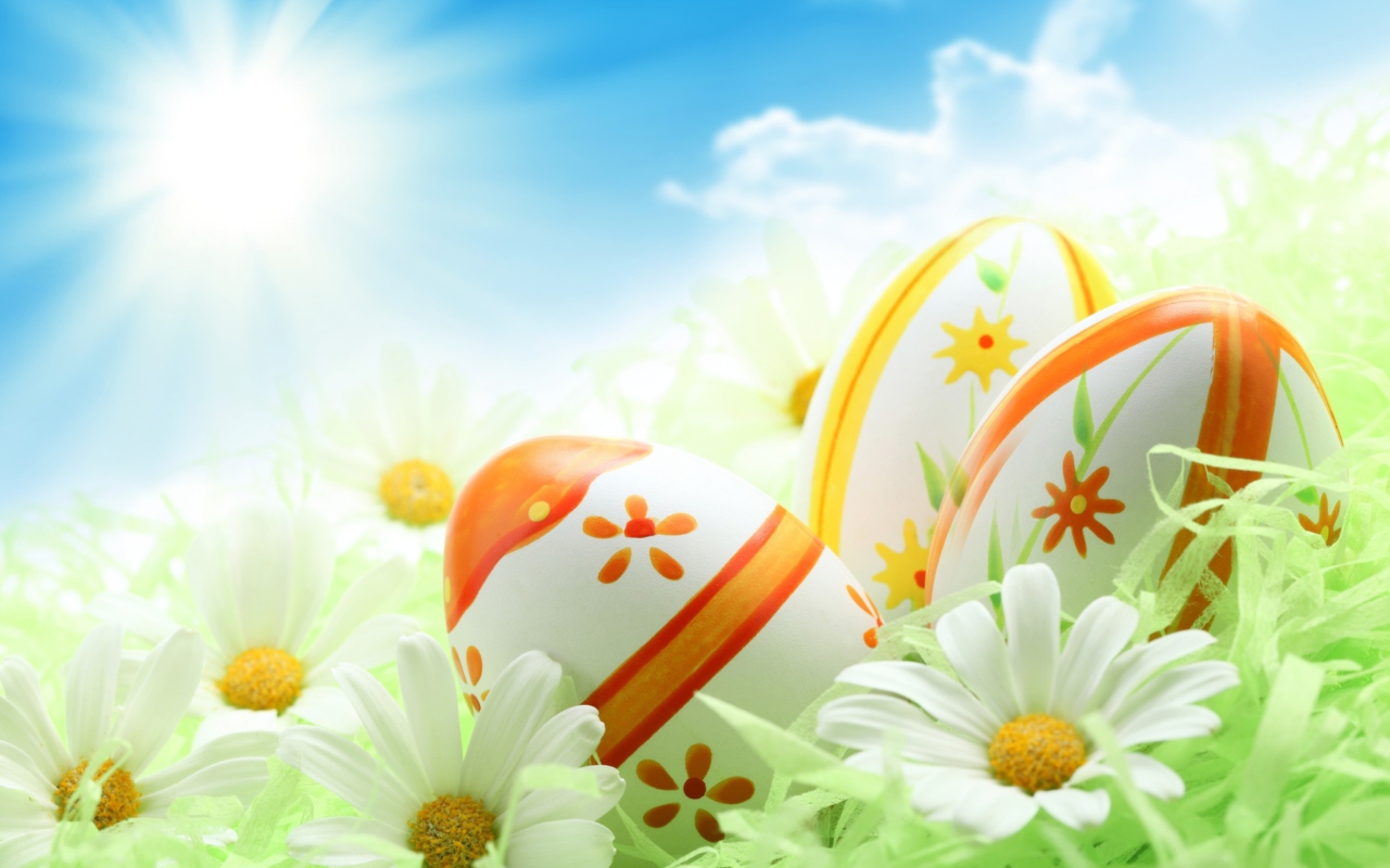 Screenshot №1 pro téma Easter Eggs And Daisies 1280x800