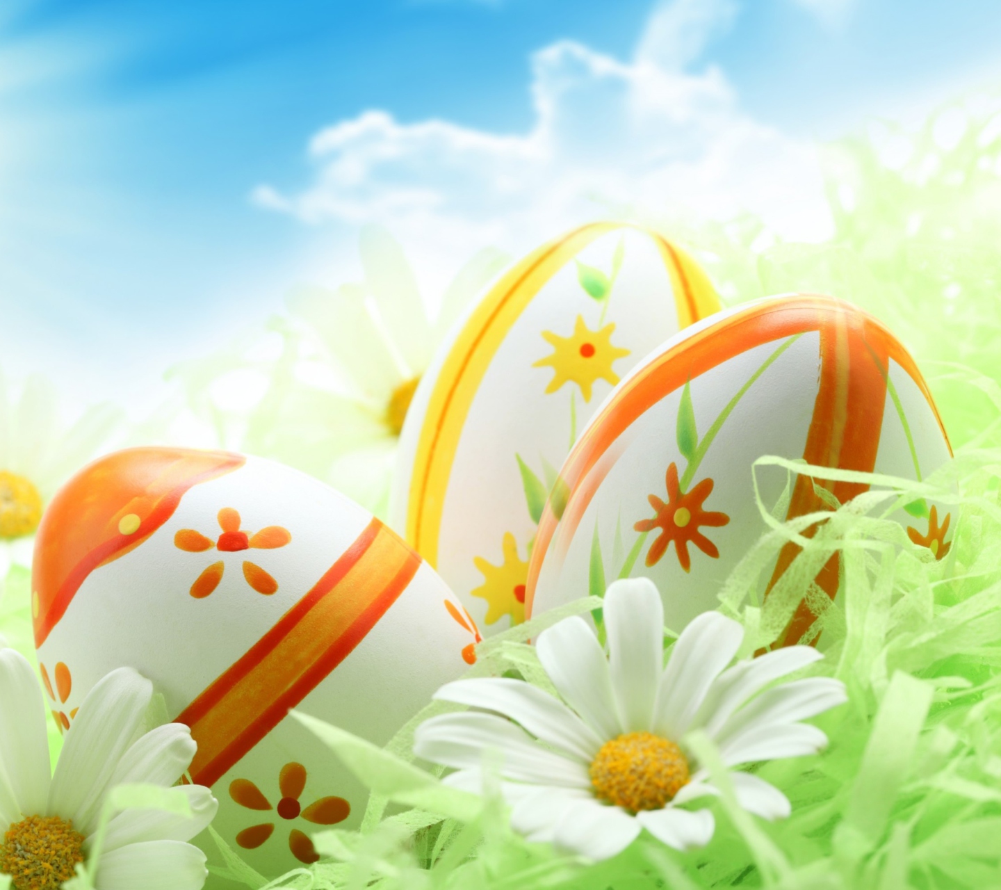 Sfondi Easter Eggs And Daisies 1440x1280