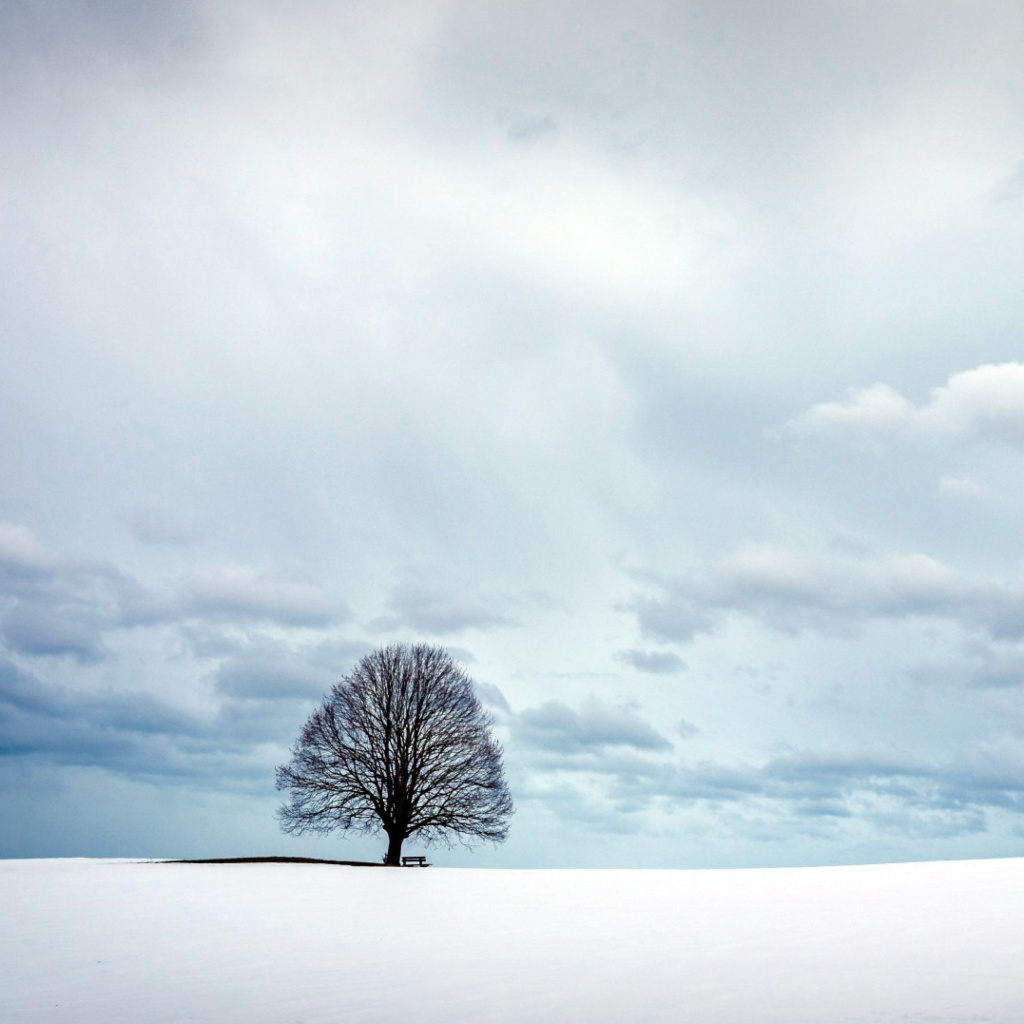 Sfondi Austria Winter Landscape 1024x1024
