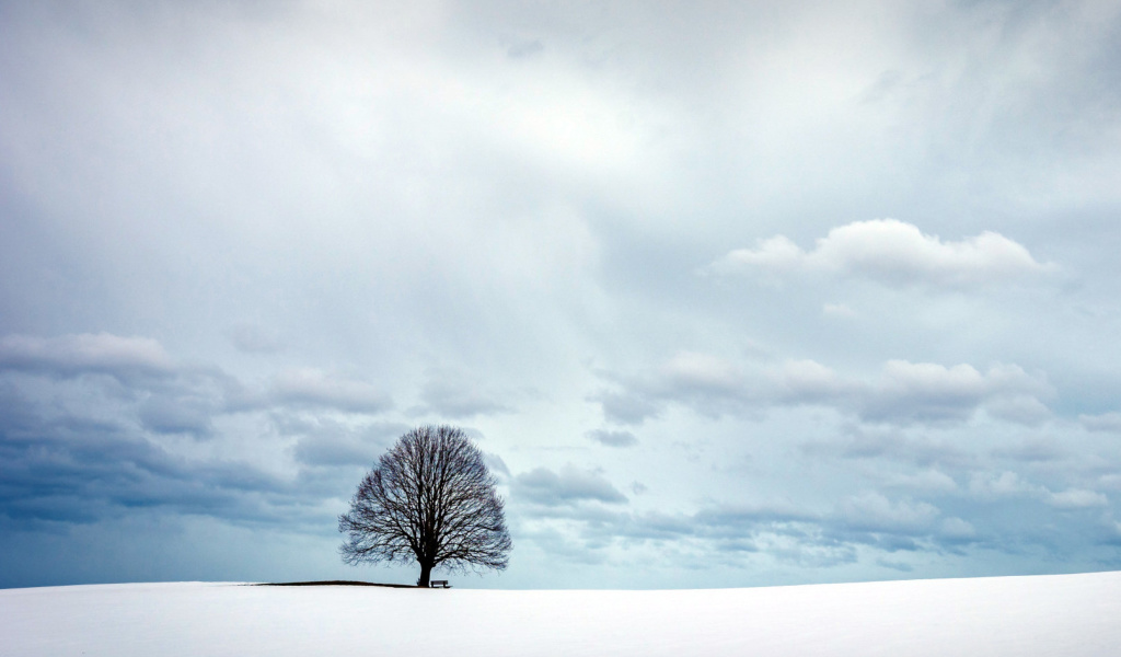 Обои Austria Winter Landscape 1024x600