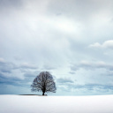 Обои Austria Winter Landscape 128x128