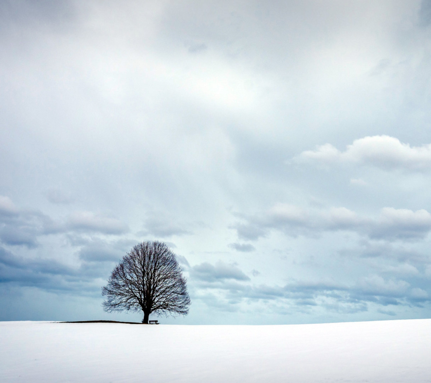 Das Austria Winter Landscape Wallpaper 1440x1280