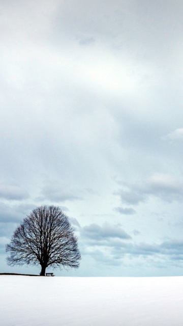 Sfondi Austria Winter Landscape 360x640