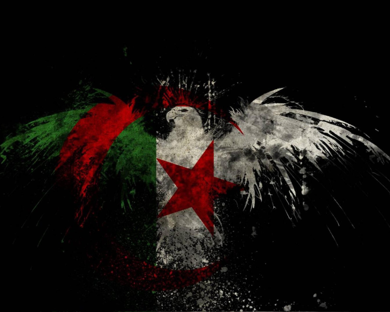 Screenshot №1 pro téma Algerian Flag 1280x1024