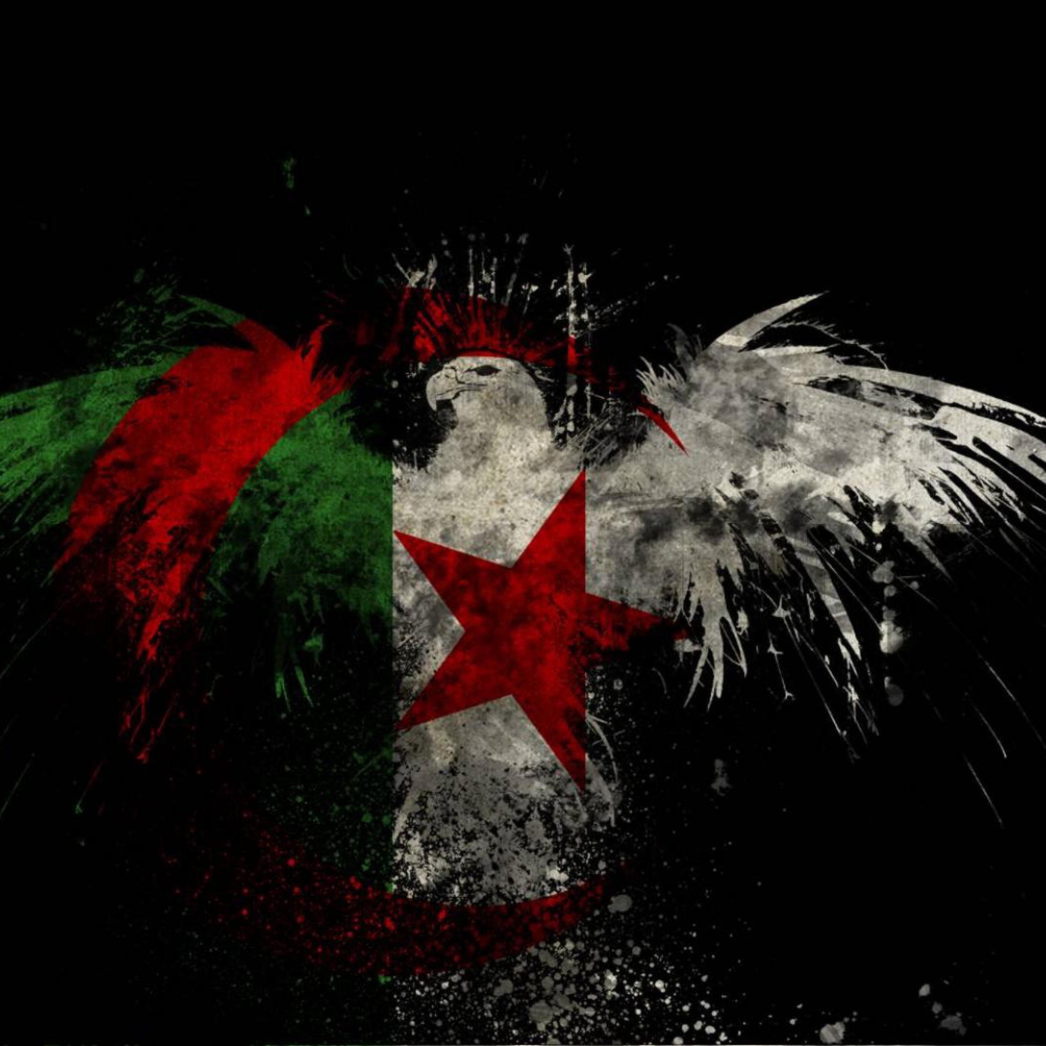 Screenshot №1 pro téma Algerian Flag 2048x2048