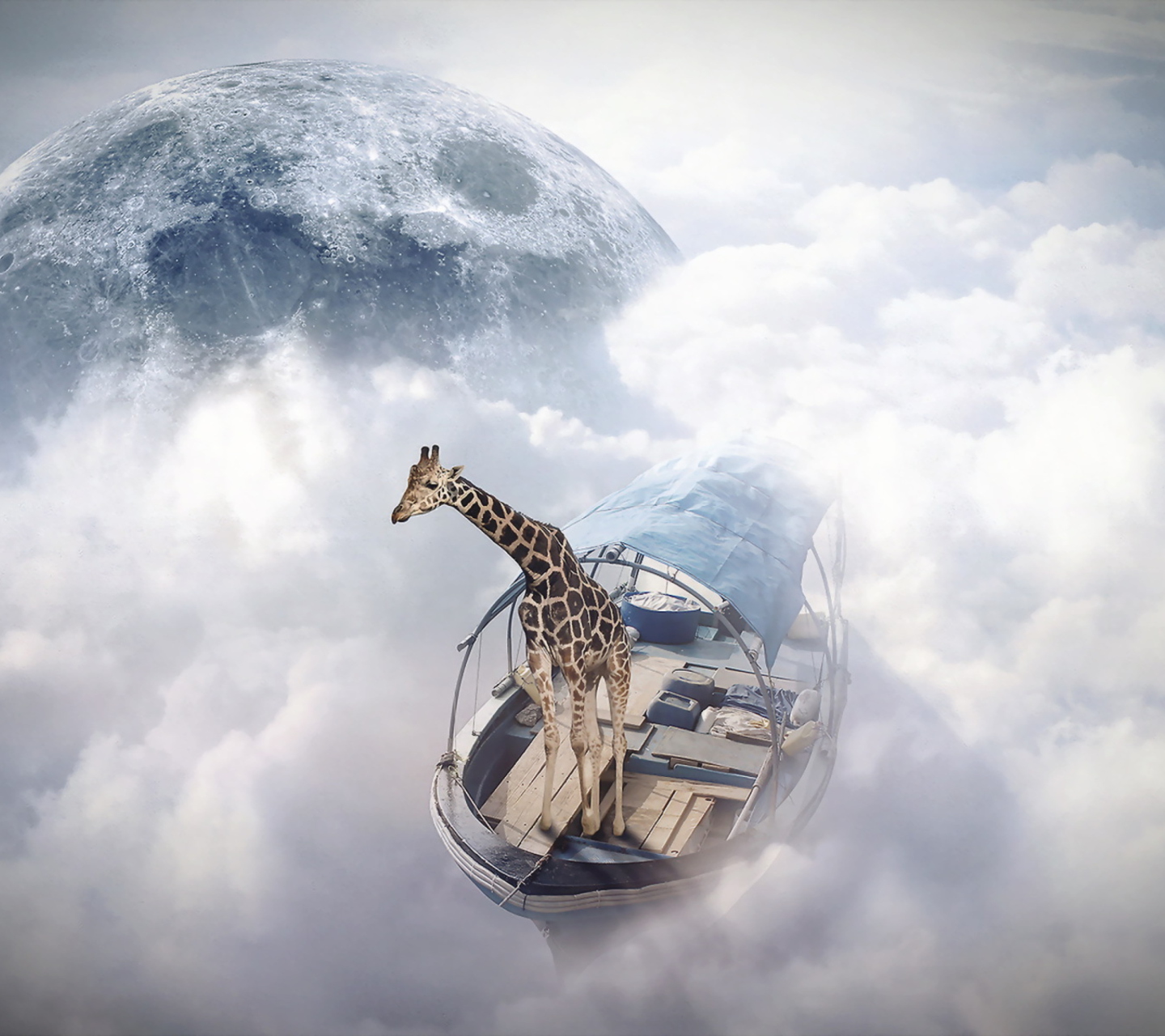 Screenshot №1 pro téma Giraffe Traveler 1440x1280