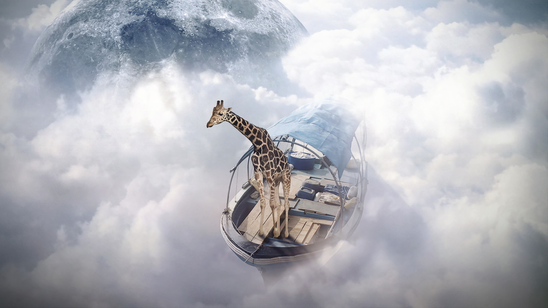 Screenshot №1 pro téma Giraffe Traveler 1920x1080