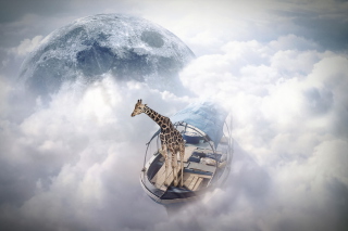 Giraffe Traveler - Obrázkek zdarma pro Samsung Galaxy Q