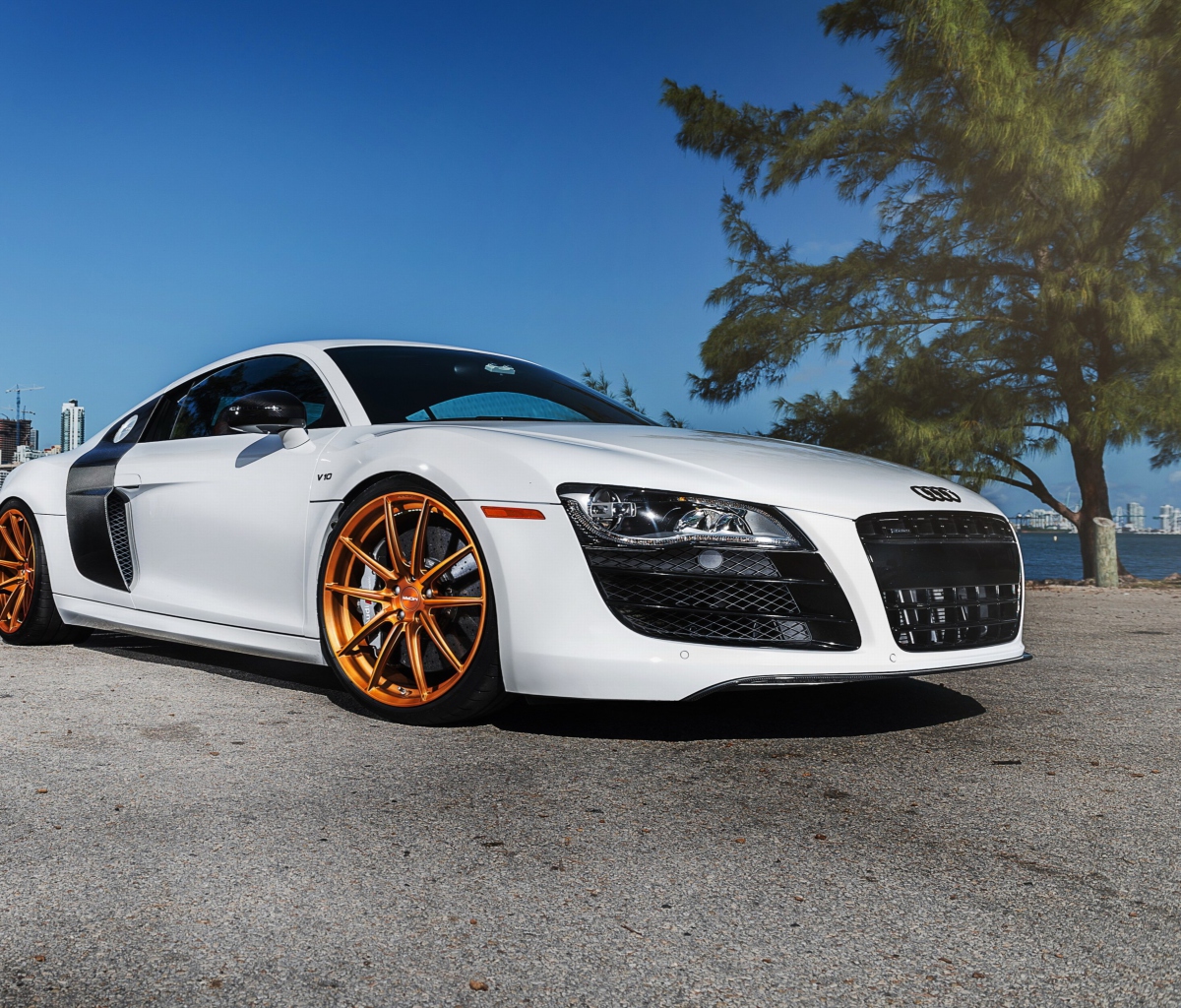 Audi R8 wallpaper 1200x1024