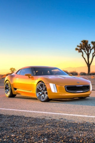 Sfondi Kia GT4 Stinger Concept Auto 320x480