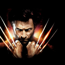 Screenshot №1 pro téma The Wolverine 208x208