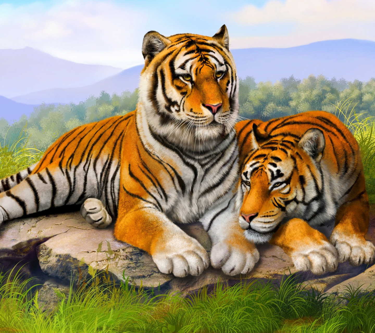 Fondo de pantalla Tiger Family 1440x1280